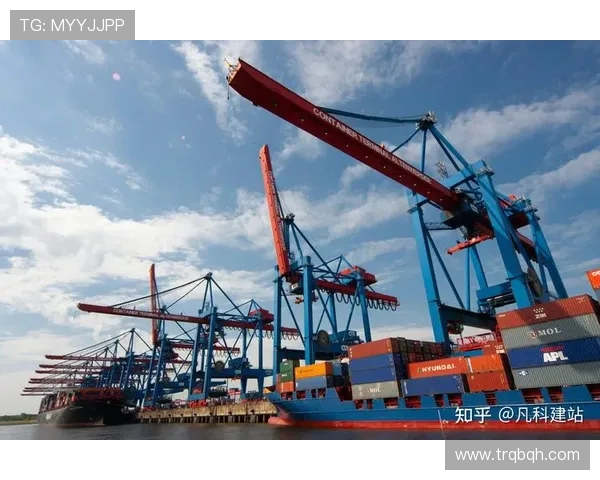 加维的崛起与未来发展：探索新兴市场中的机遇与挑战